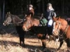Horse Trail Riding